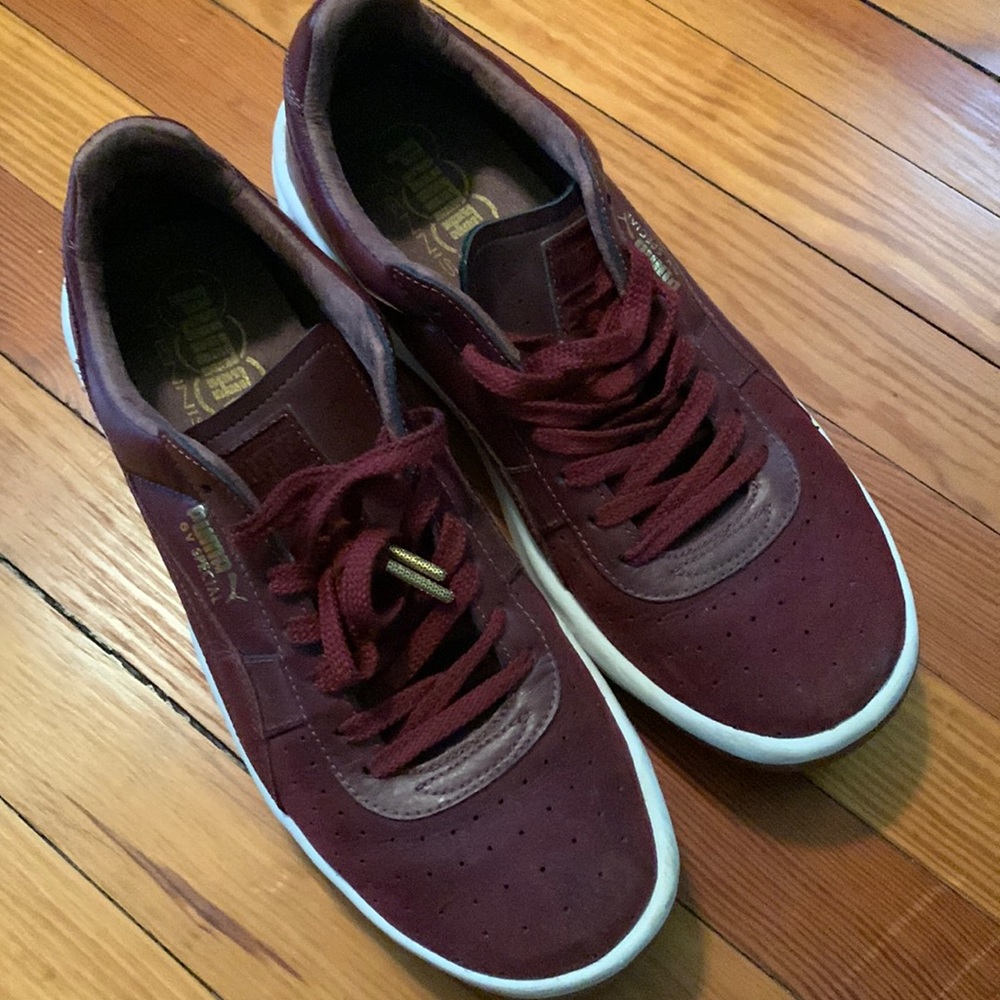 Pumas